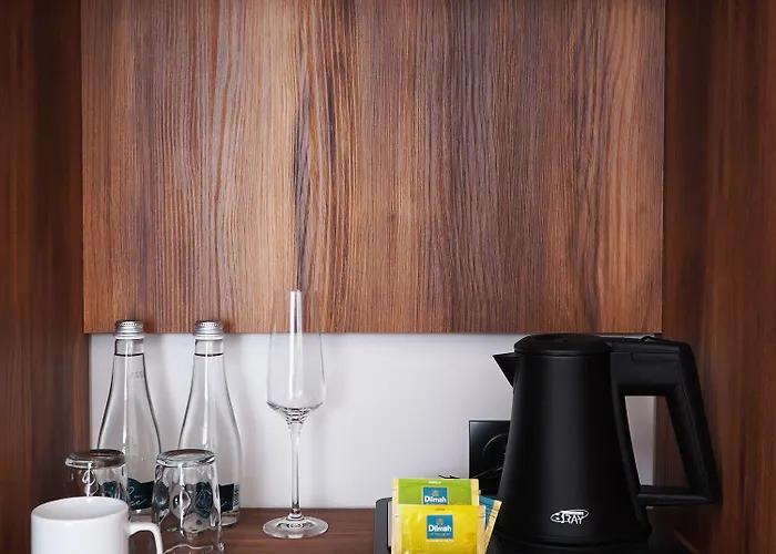 Pietryna Готель Лодзь